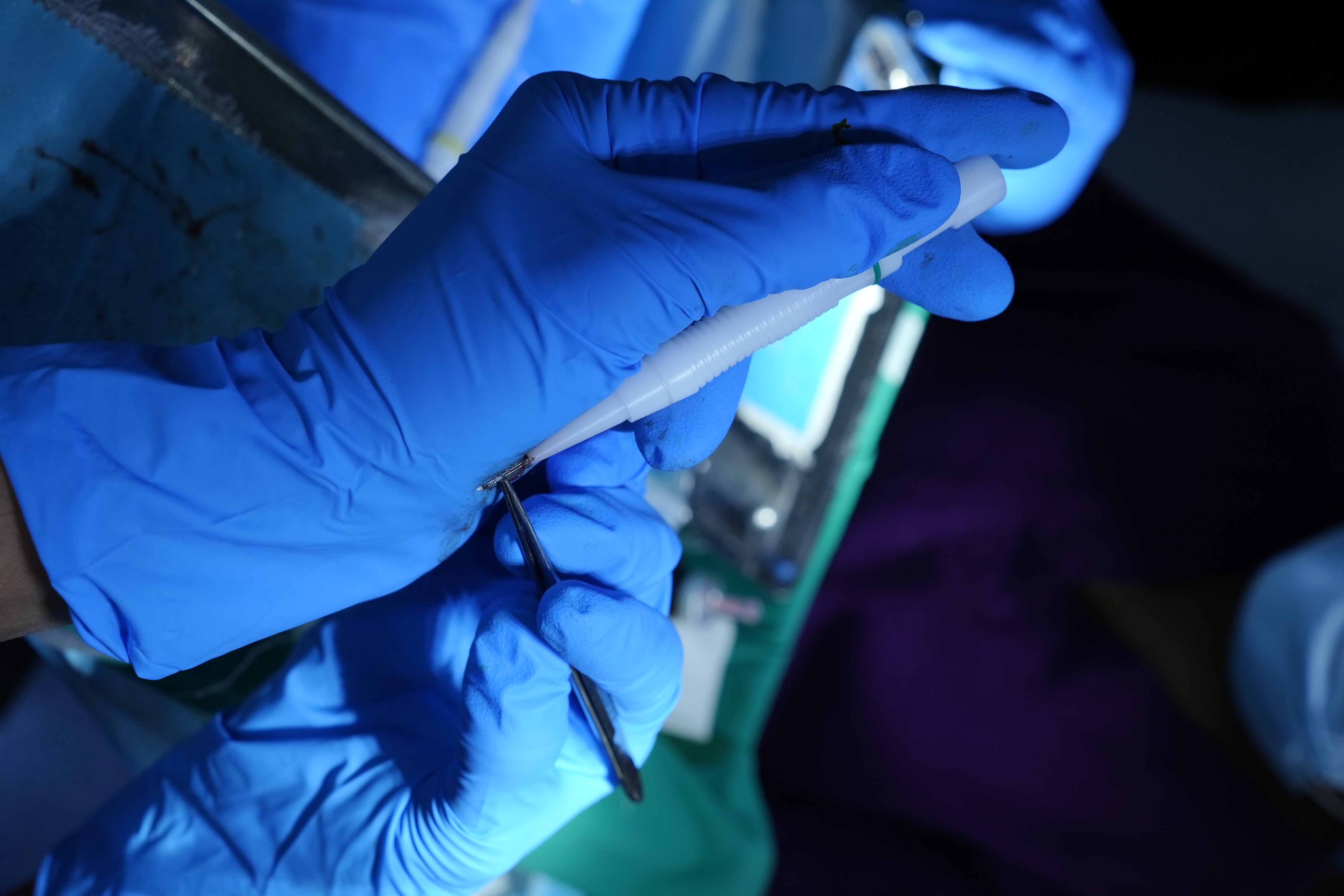 Graft implantation
